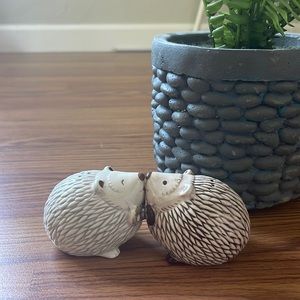 👻Salt & Pepper Shakers